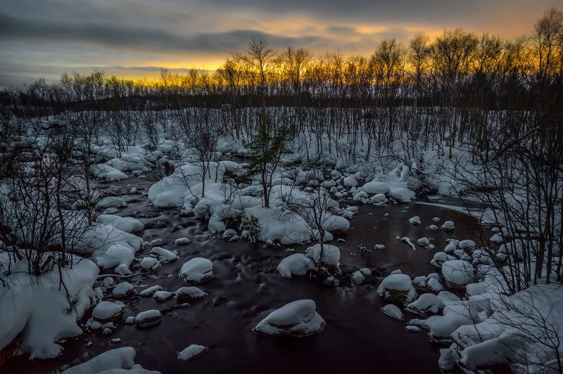 north night cold forest nature landscape kola peninsula forest winter Vaenga river. фото превью