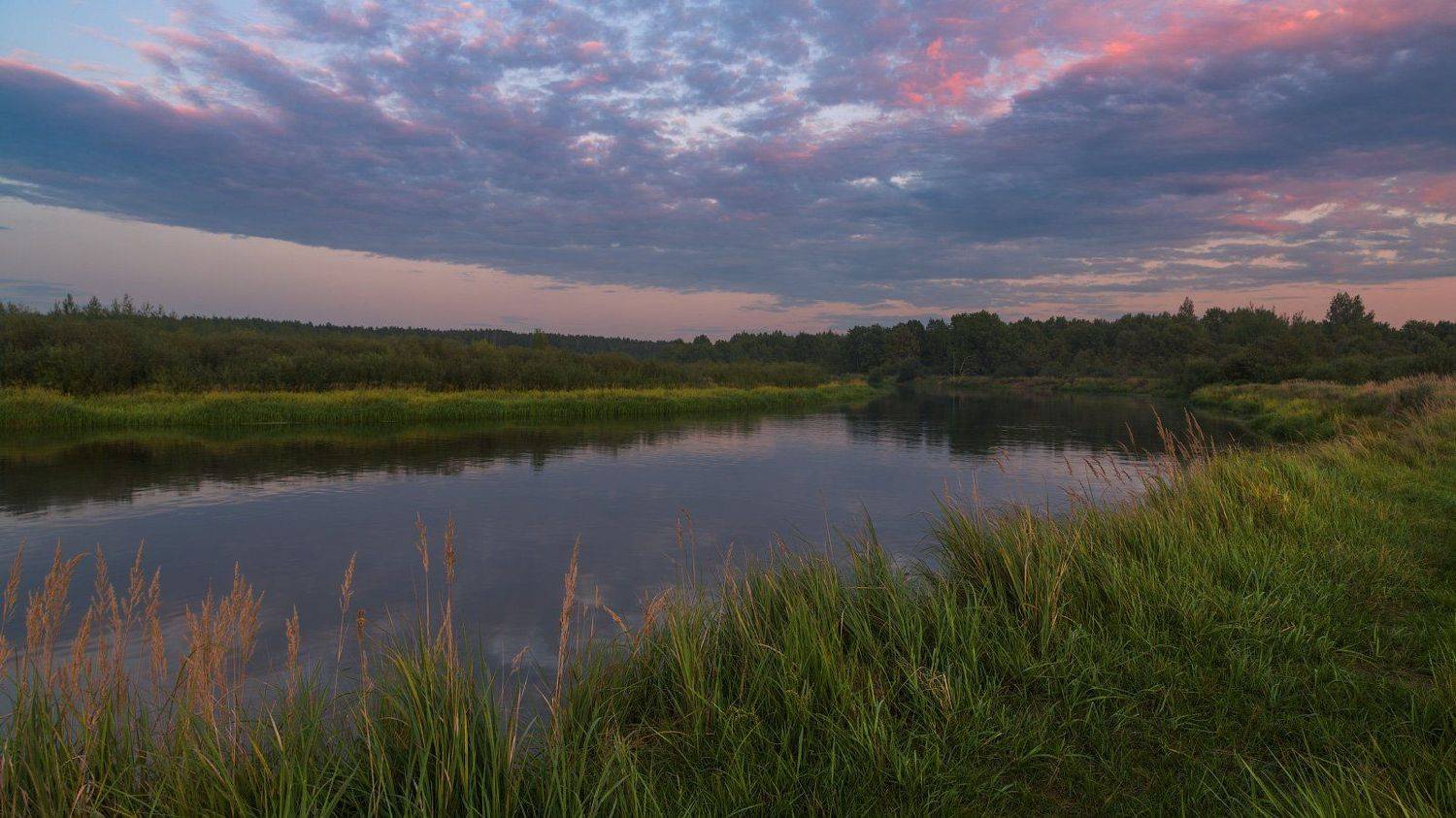 , Михаил Кушнер
