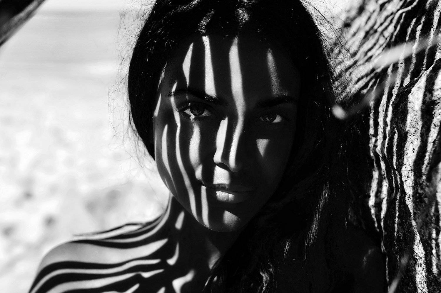 , Николай Новиков