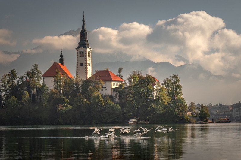 Гуси-Лебеди фото превью