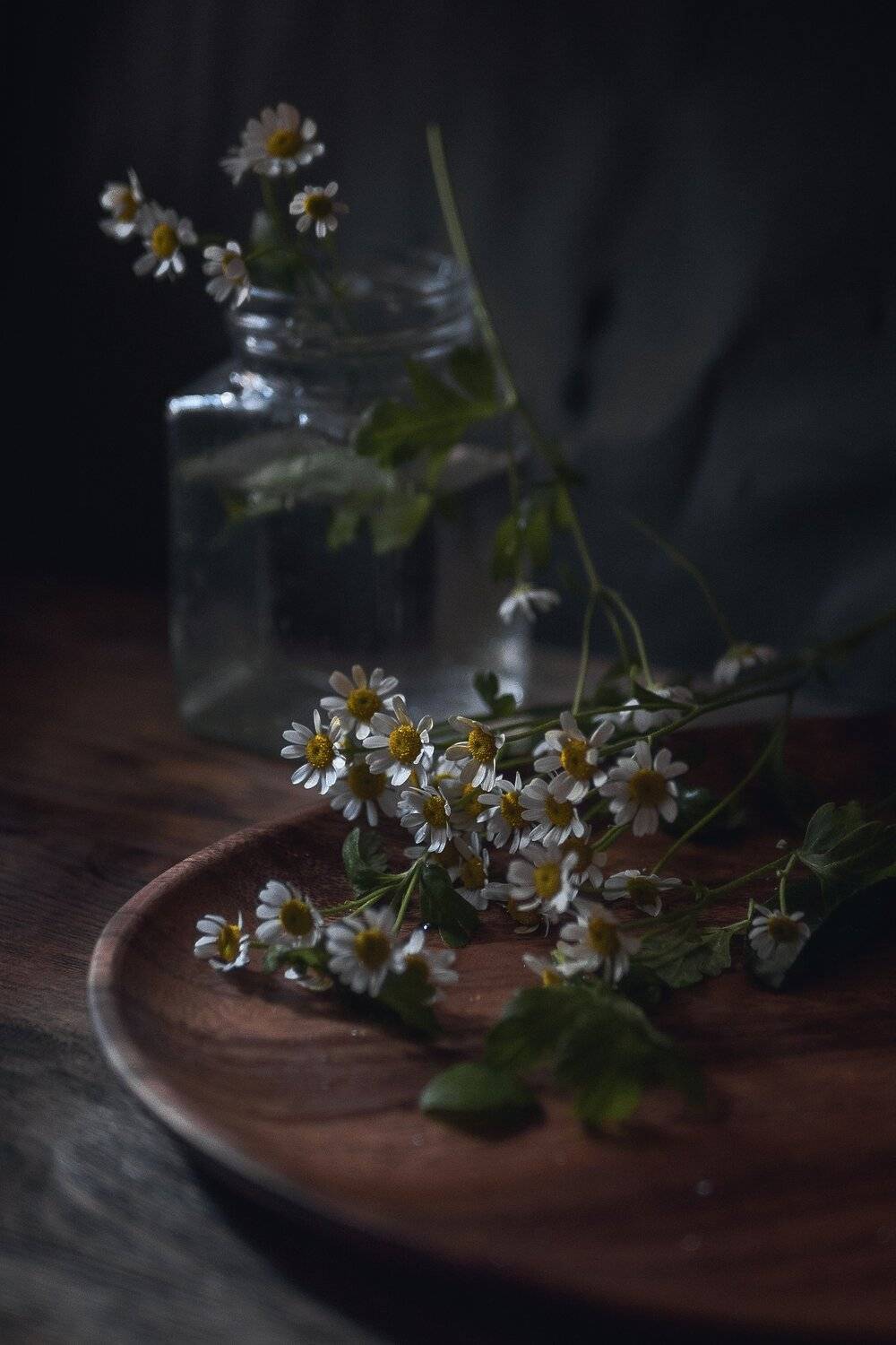 , Владимир Осауленко