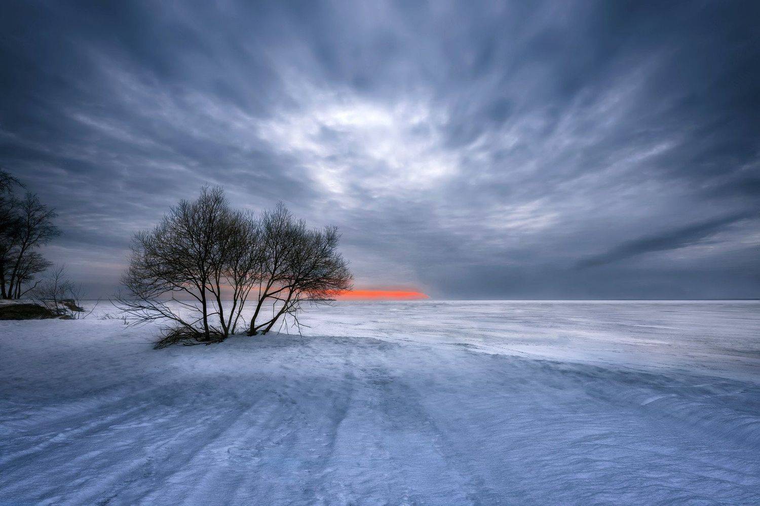 зима,природа,море,снег,лёд,дерево,небо,закат, Тамара