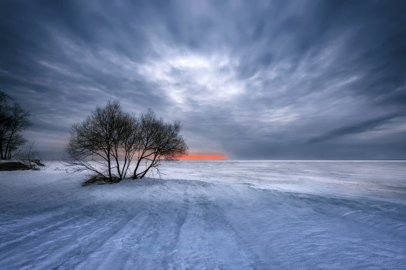 зима,природа,море,снег,лёд,дерево,небо,закат Зимний вечер. фото превью
