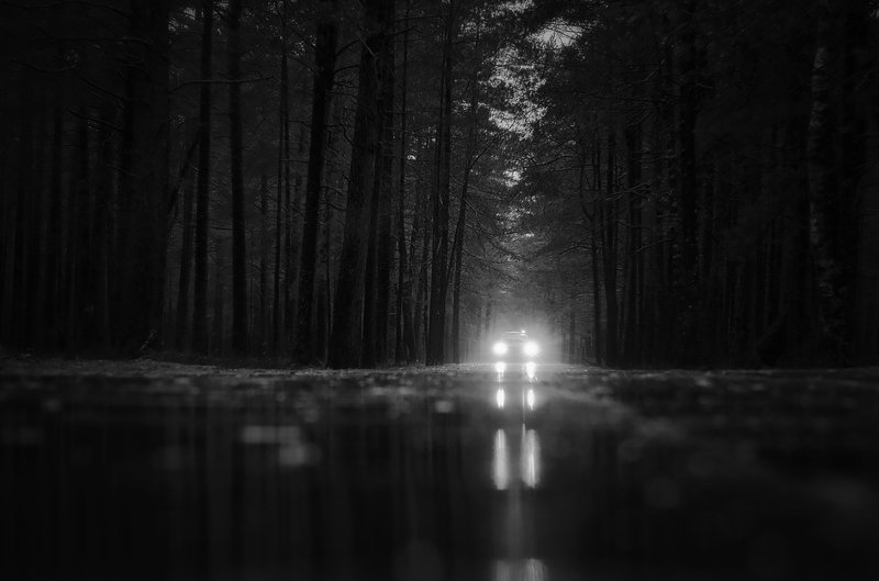 Доктор едет, едет... фото превью