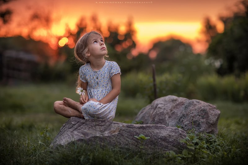 little dreamer girl cute dranikowski bokeh sunlight sundown natural light grass rocks nature no retouching 85mm little dreamer фото превью