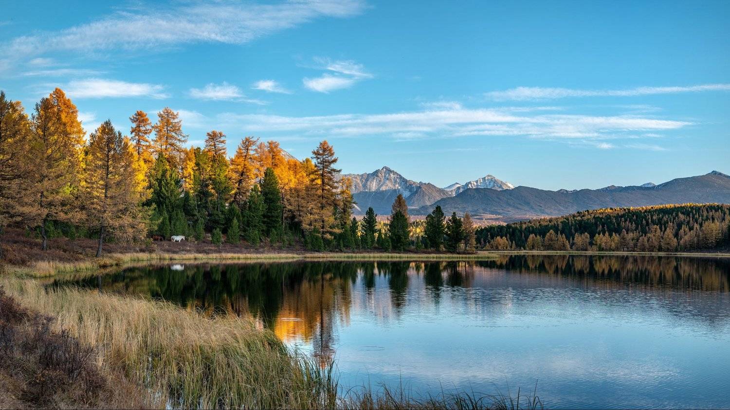 горы, алтай, горный алтай, озеро, озеро киделю, киделю, отражение, вода, зеркало, вечер, закакат, конь, лошадь, осень, золотая осень, панорама, Николай Васильев