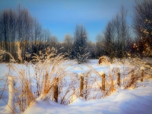 sunny day in the countryside