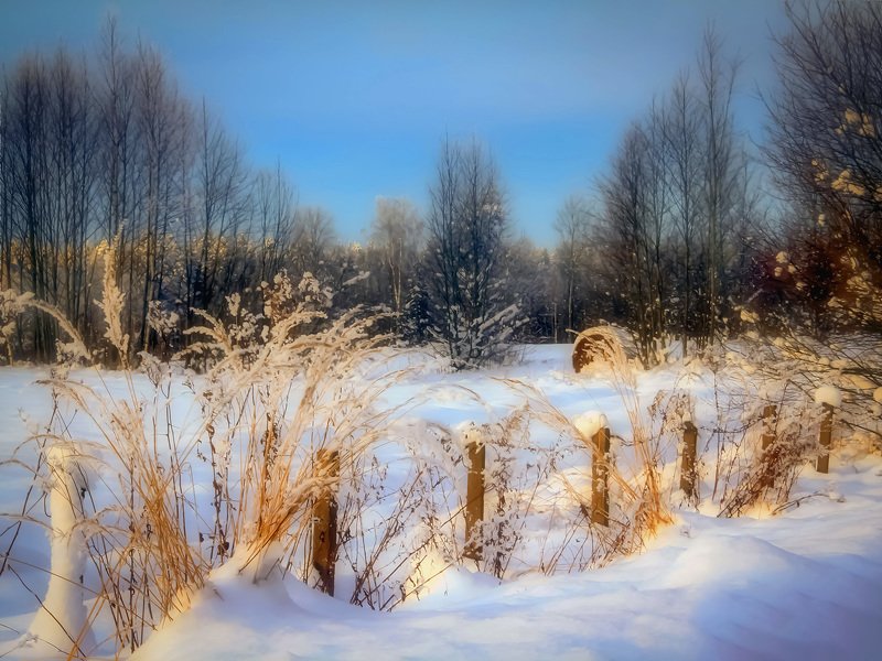 mist,day, country, countryside, outdoor, winter,tree,road,snow sunny day in the countryside фото превью