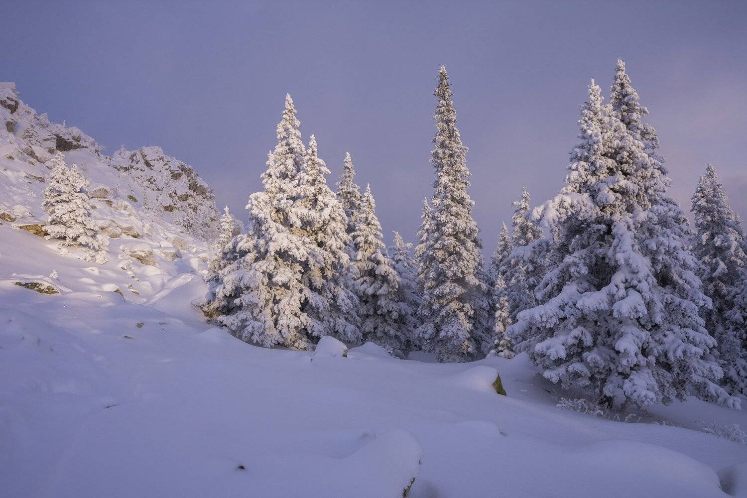 , Андрей Шарапов