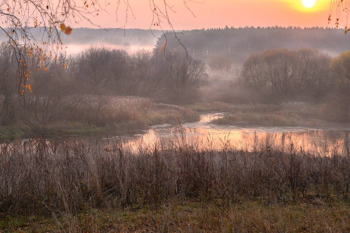 пейзаж,природа,россия,осень,золотая осень,туман, Юлия Лаптева