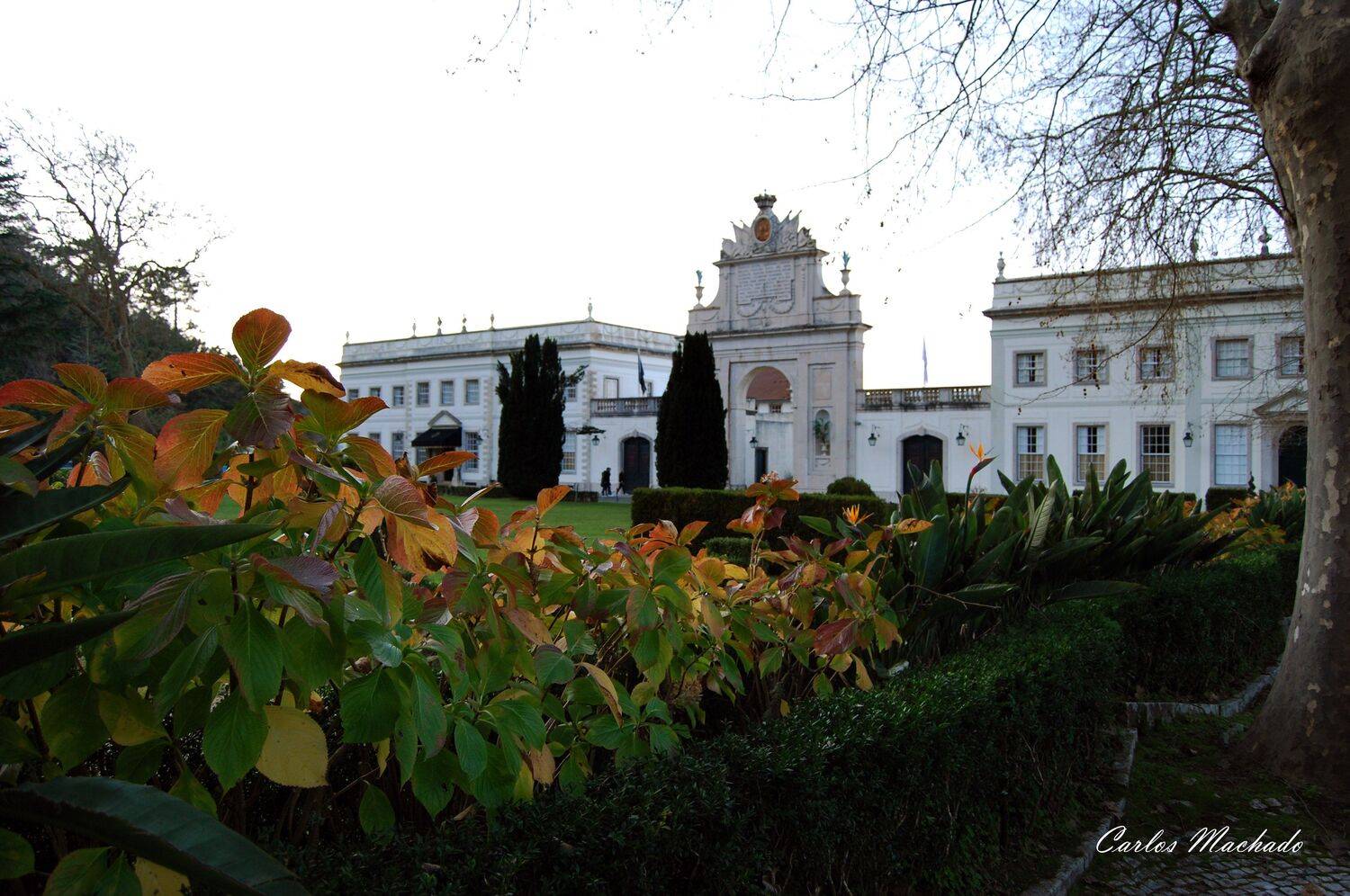 Street/reportage, Landscape, , Carlos Machado