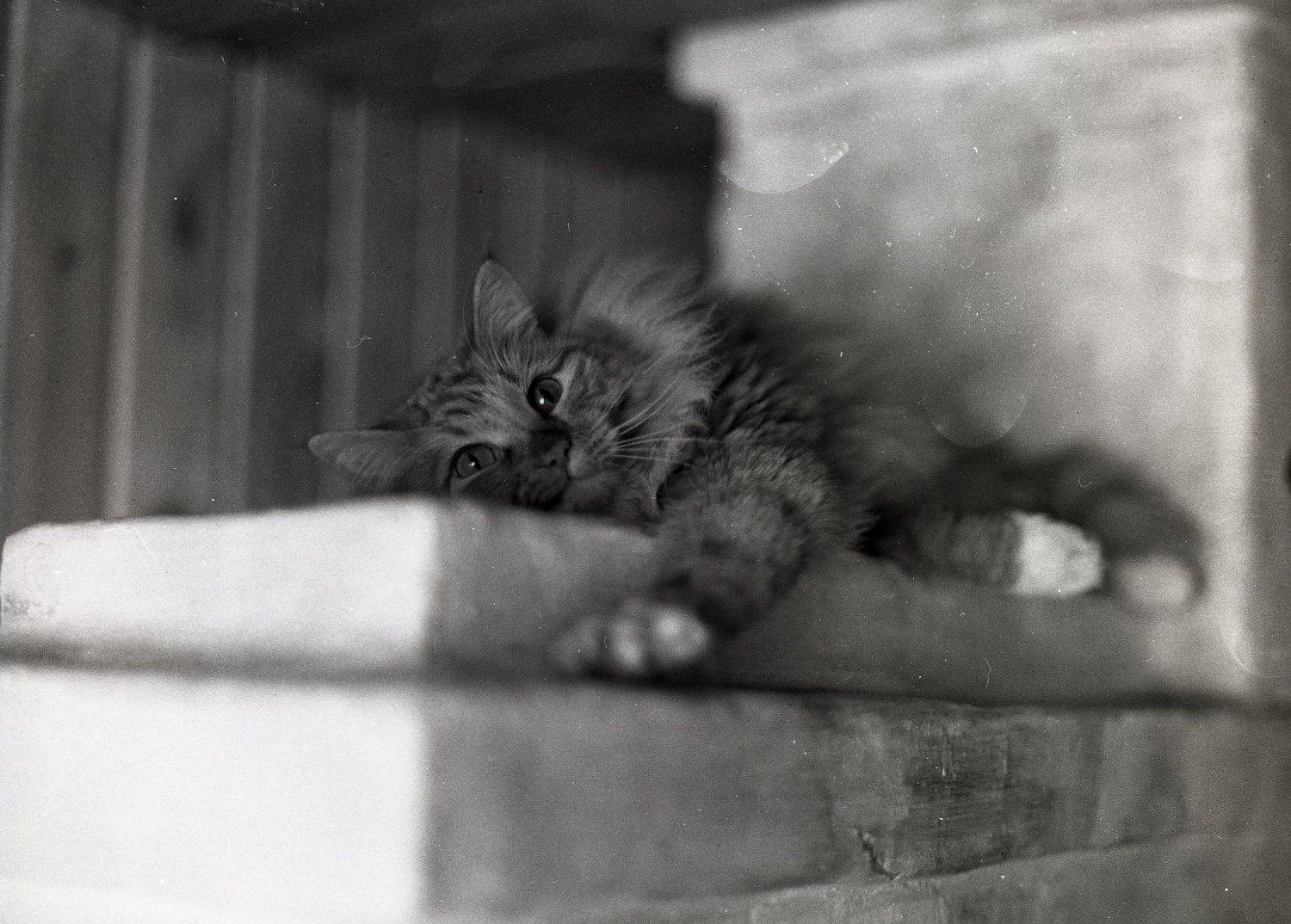 , Илья Глобин