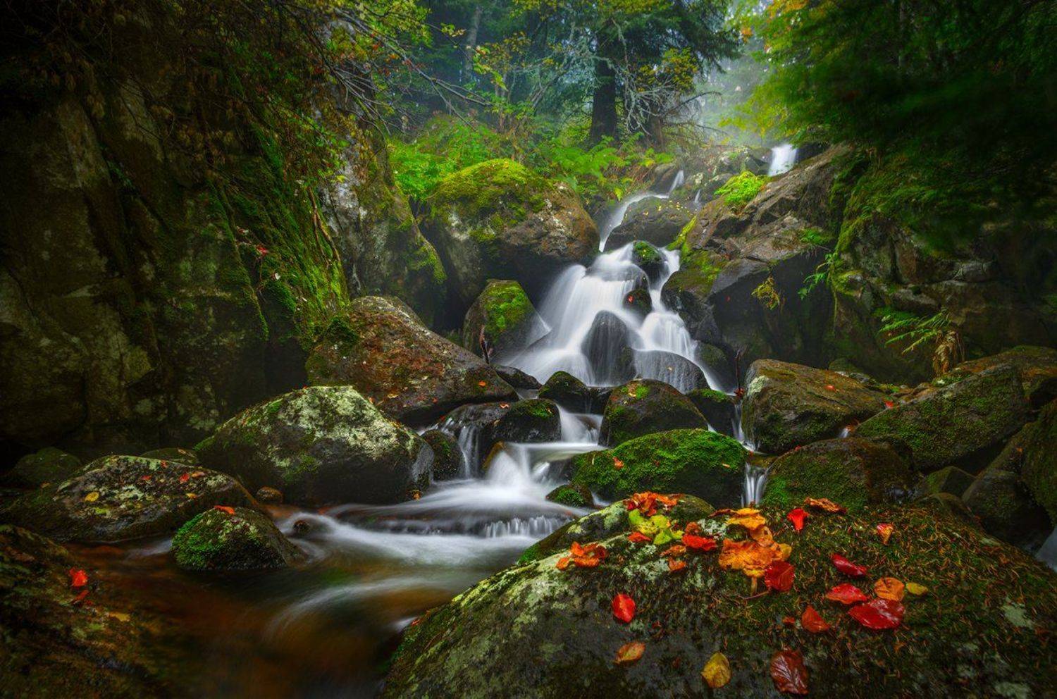 , Александър Александров