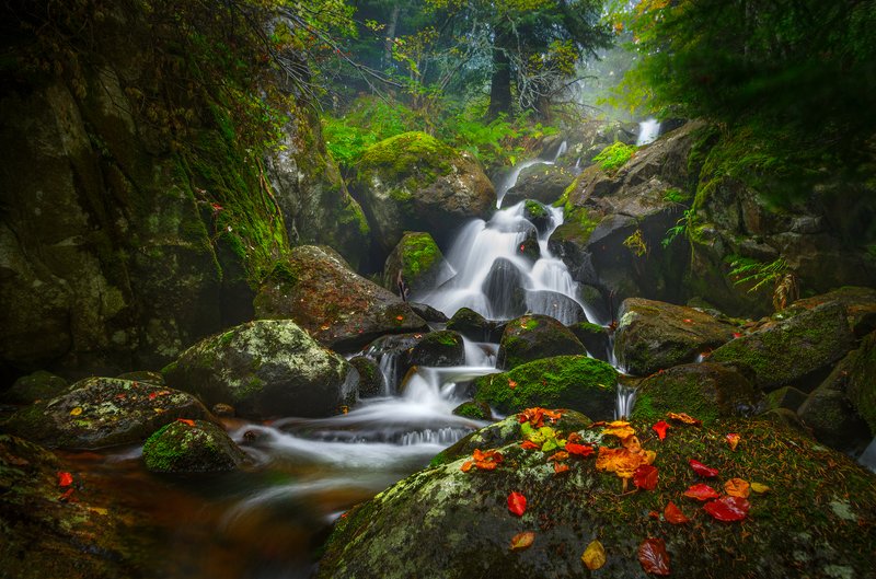 Autumn by the river / Осень у реки фото превью
