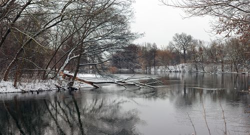 Река Оскол ( г. Старый Оскол )