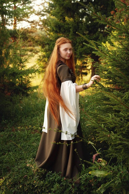 Сказки ДондыДора фото превью