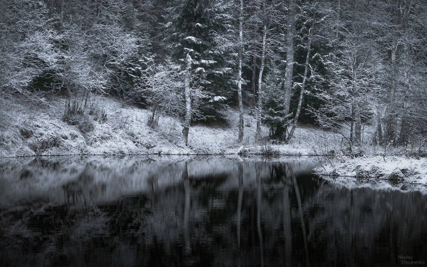 ленинградская область, снег, зима, река, отражение, лес, Николай Степаненко