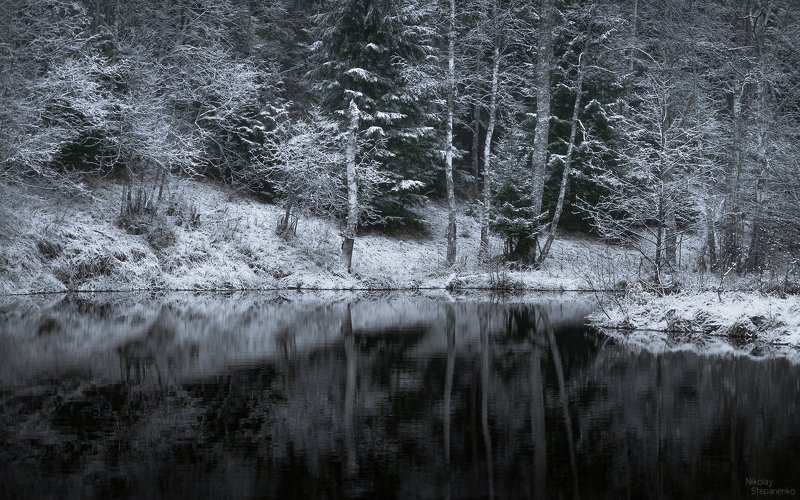 ленинградская область, снег, зима, река, отражение, лес  фото превью