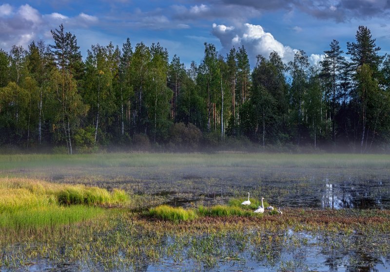 ### фото превью