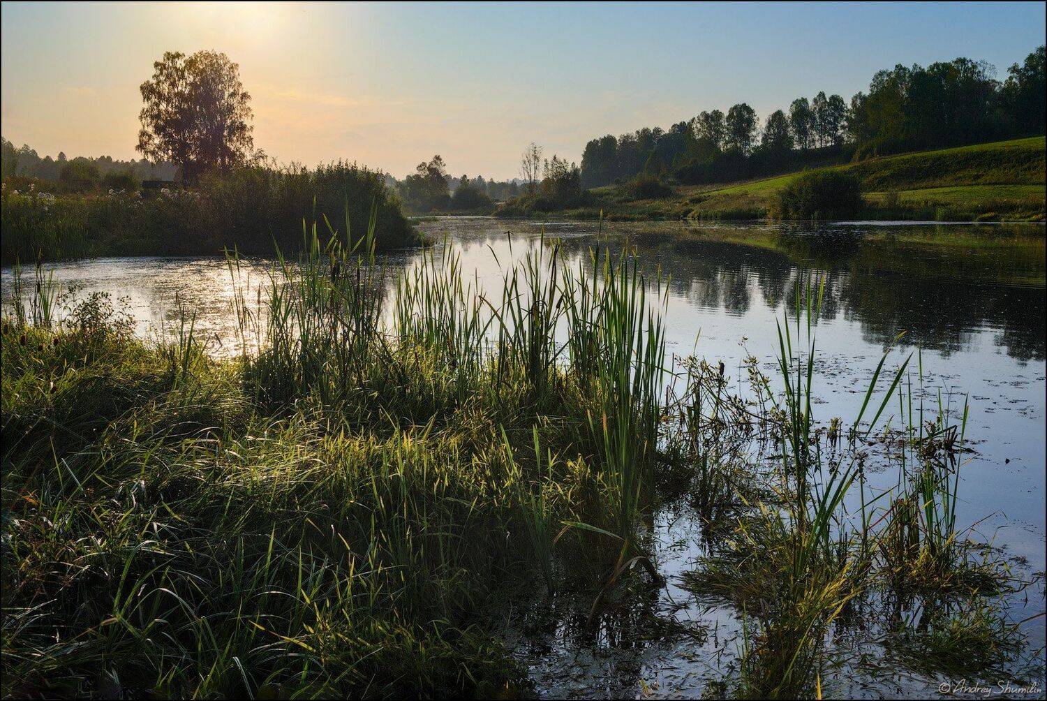 , Андрей Шумилин