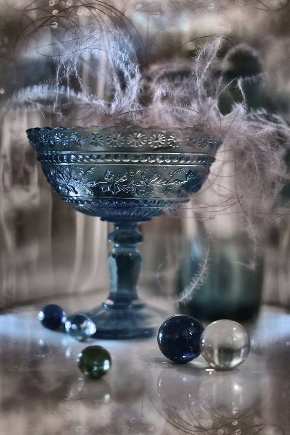 , Шипунова Ирина