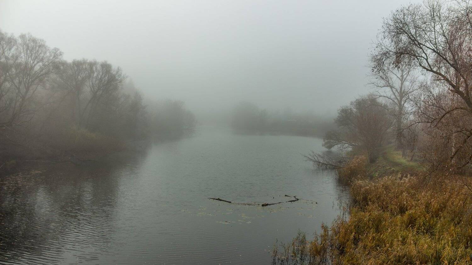 туман, осень, вода, Руслан Востриков