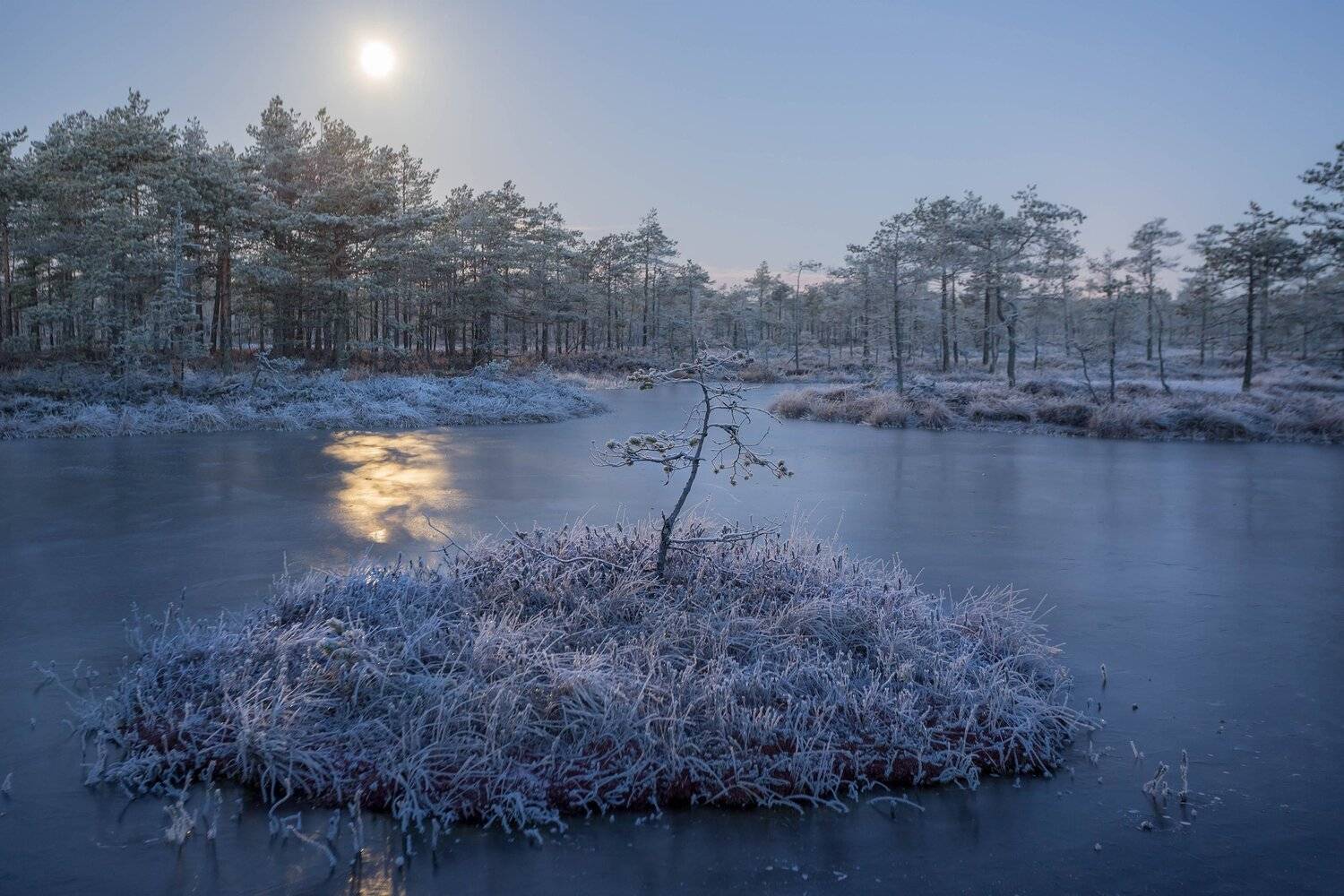 болото, кайф, рассвет ,север ,солнце, свет, закат, облака, отражение, фототур, Павел Ващенков