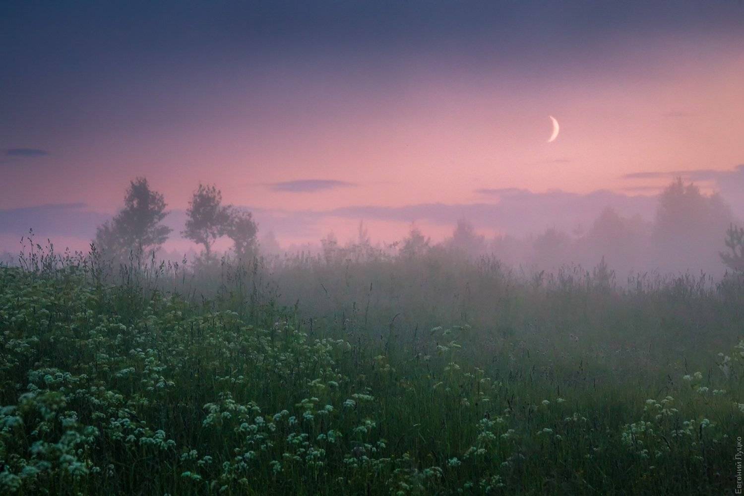 , Евгений Луцко