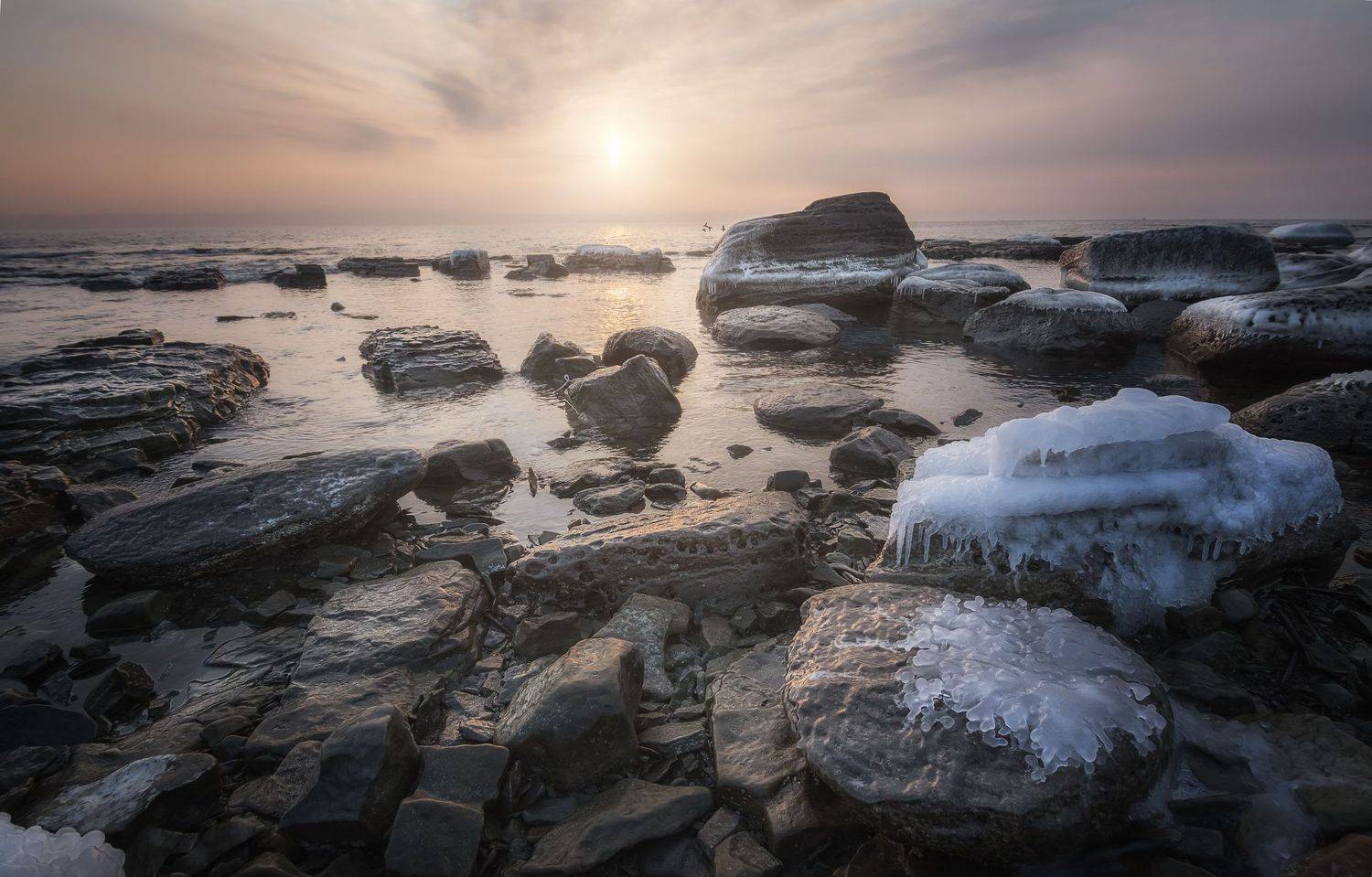 , Шинкарева Елена