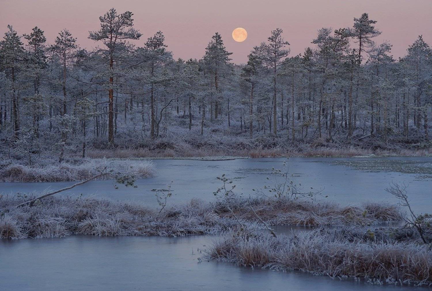 , Петр Косых