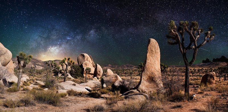 joshua, tree, milky, way, stars, long, exposure We\'re all under the same sky... фото превью
