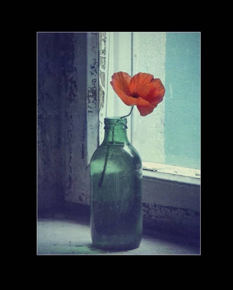 , Юлия Володина