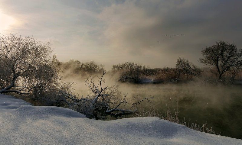 ПАДАЛ ПРОШЛОГОДНИЙ  СНЕГ  или  ПОСЛАЛА МЕНЯ ЖЕНА ЗА ЁЛКОЙ ! фото превью