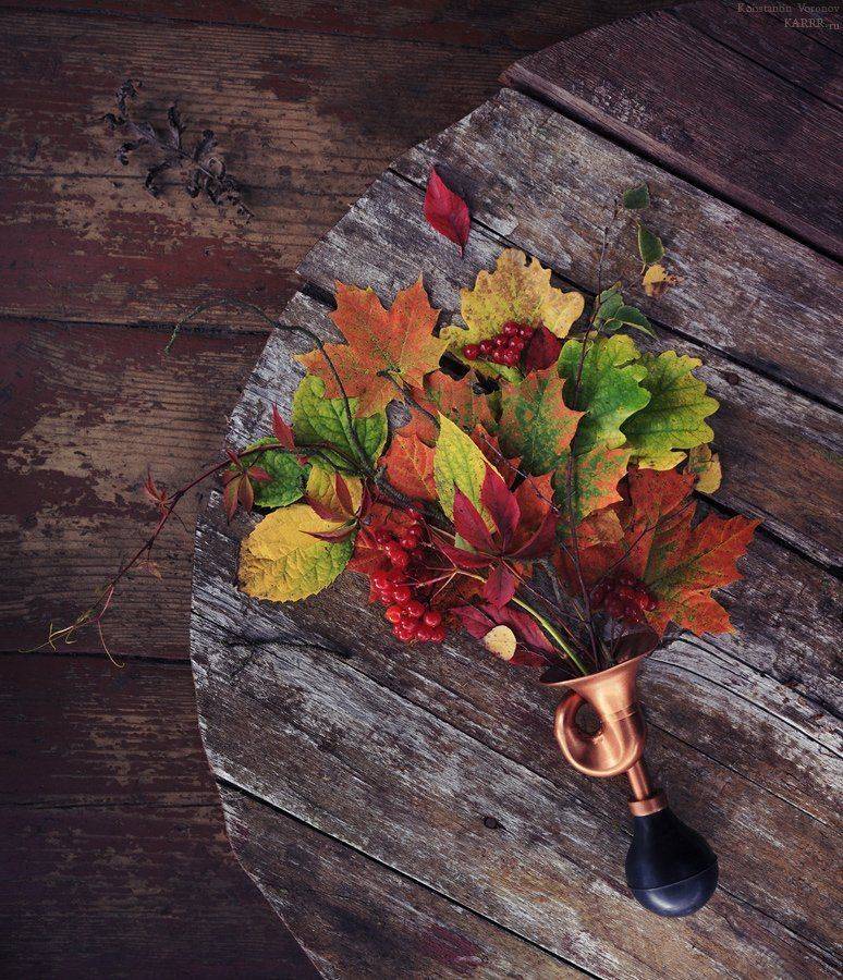 , Konstantin Voronov