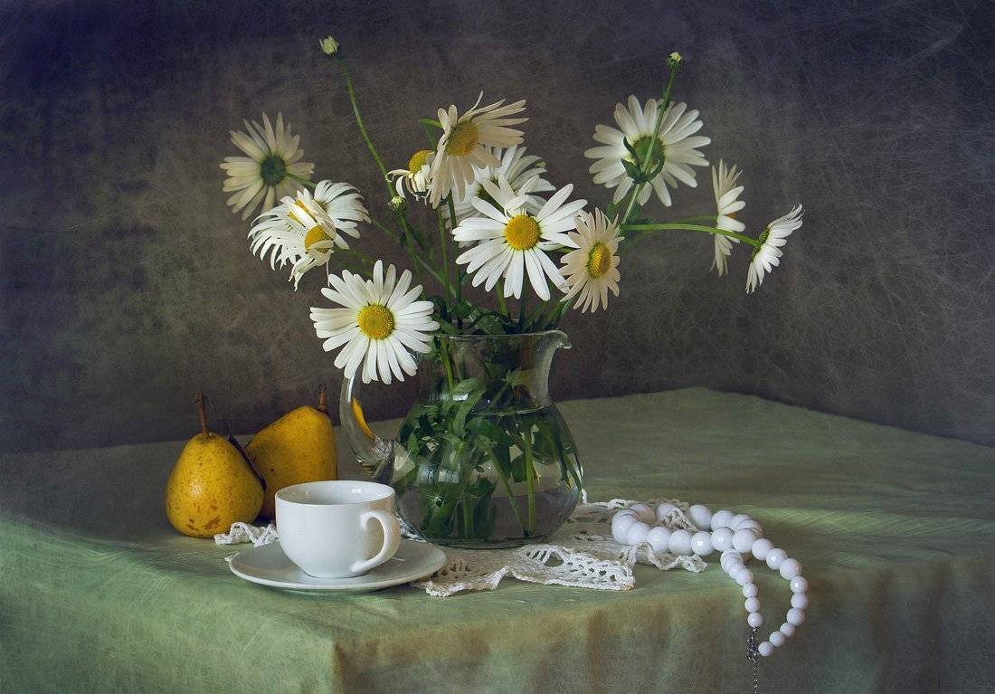 ромашки, светлана голицына