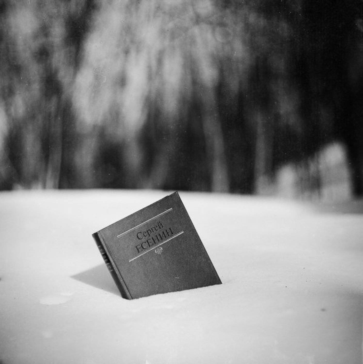 , Дмитрий Александрович