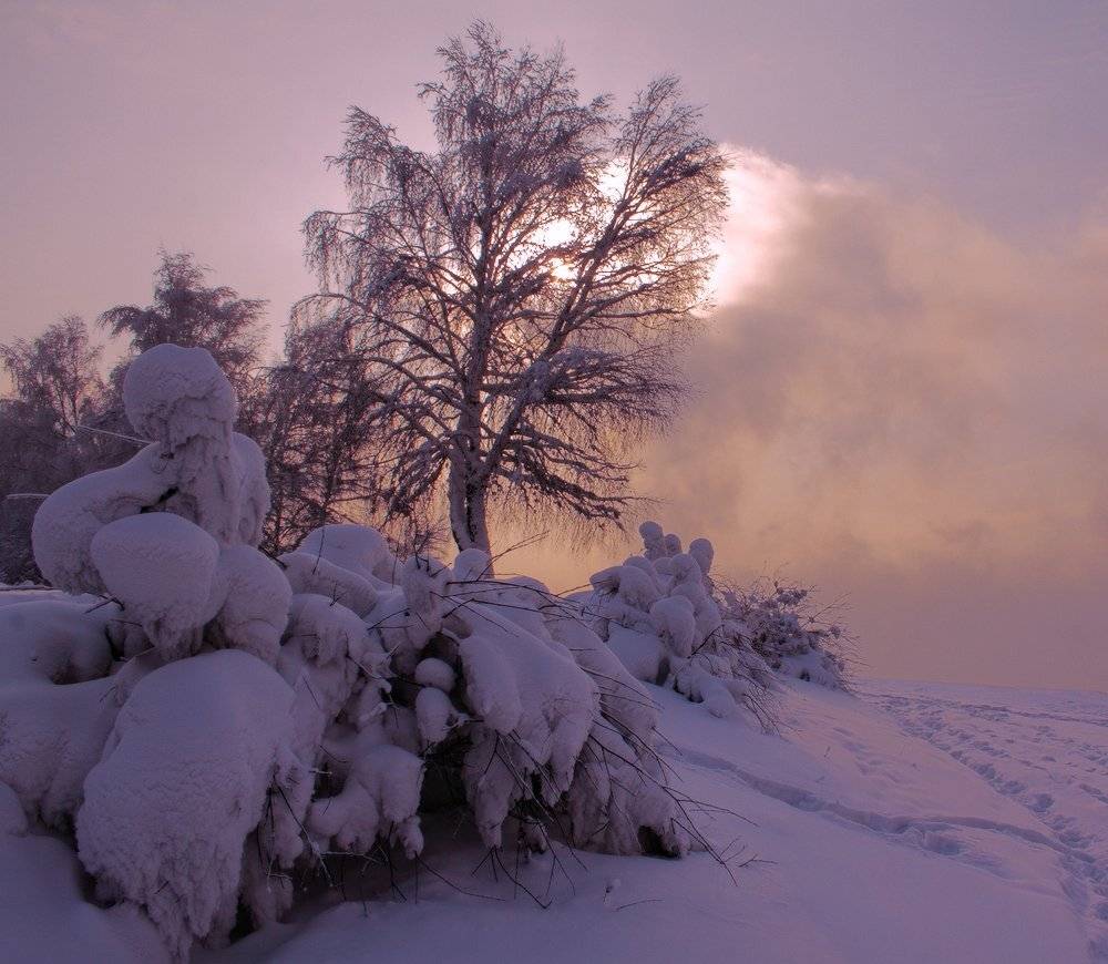 , Николай Морский
