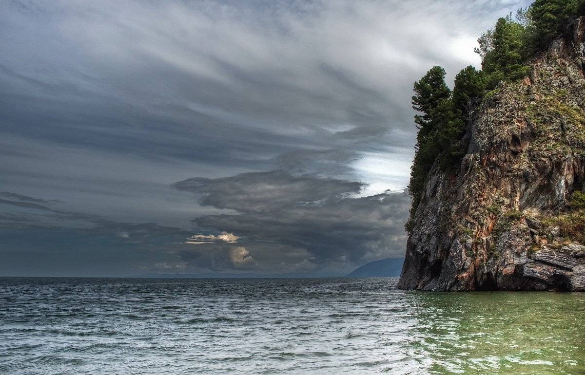 , Алексей Трофимов