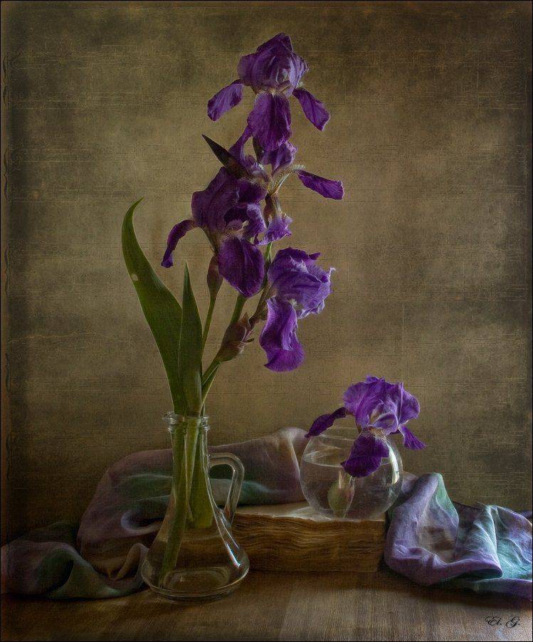 натюрморт, ирис, лето, фиолетовый, still, life, summer, purple, iris, El. G.
