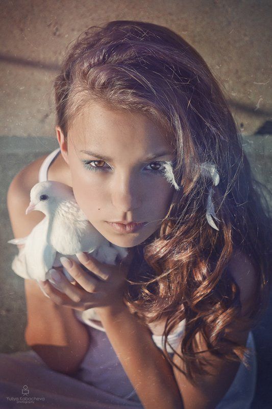 Голубь фото превью