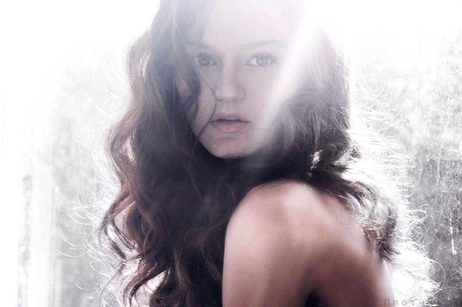 , Плотников Дмитрий