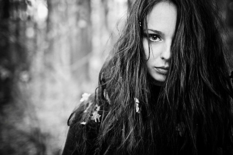 осень, лес dark фото превью