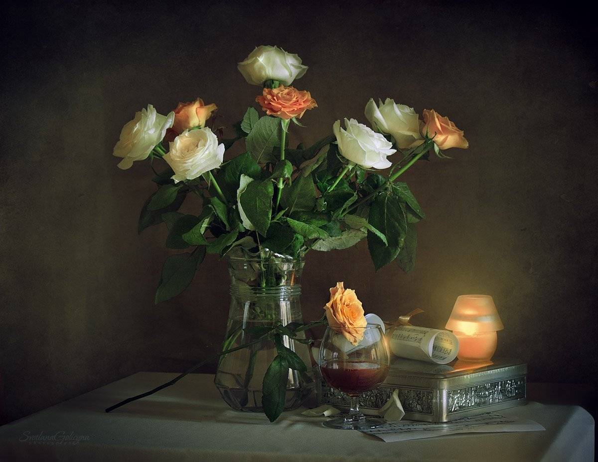 , светлана голицына