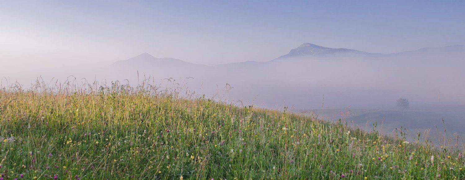 , Любомир Тригубишин