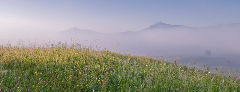 В утренней мгле фото превью