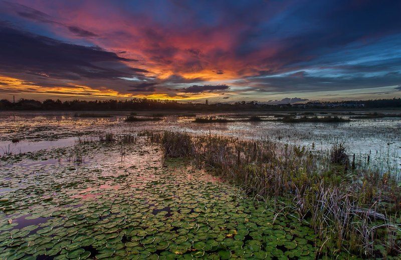 Цветная серия фото превью