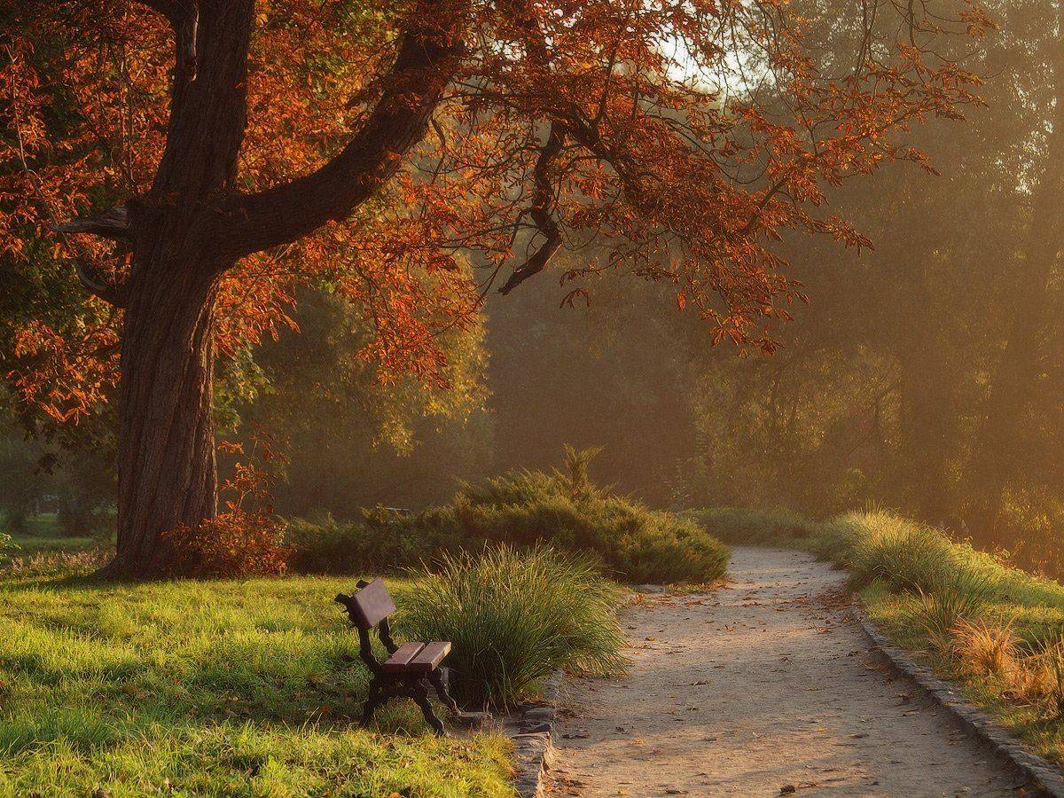 , Владимир Перепечаев