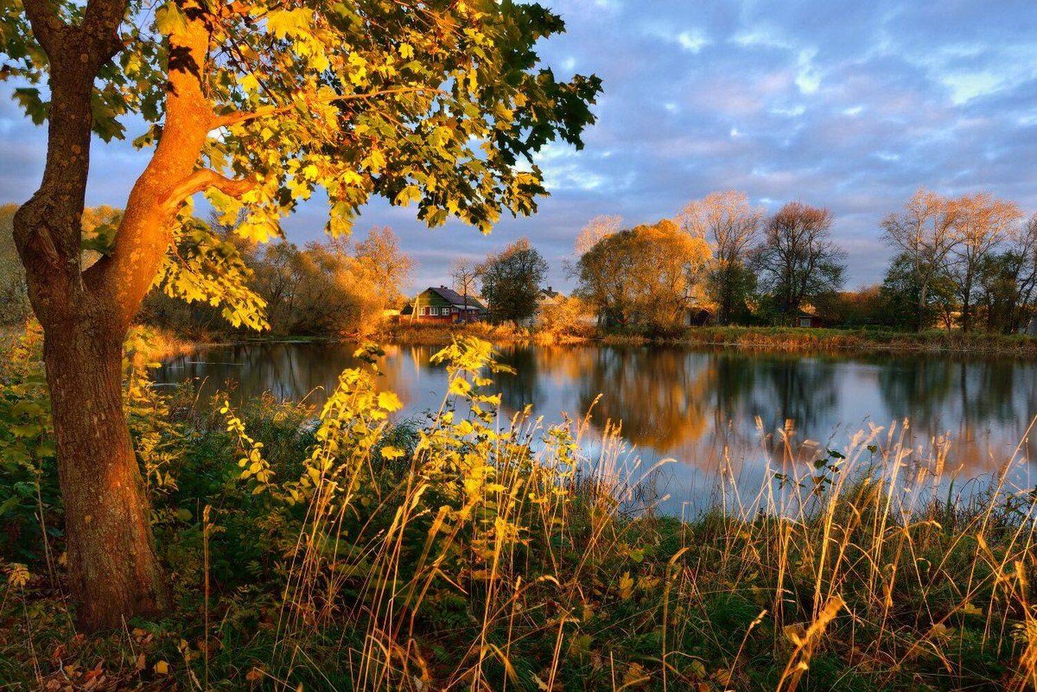 , Максим Евдокимов