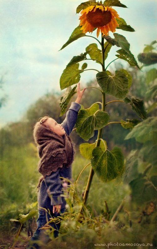 Деревня, Детский портрет, Жанровый портрет, Платок, Подсолнух, Подсолнухи, Портрет, Русская деревня  фото превью
