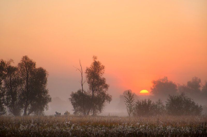 С добрым  утром фото превью